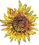 Sunflower - decorative element